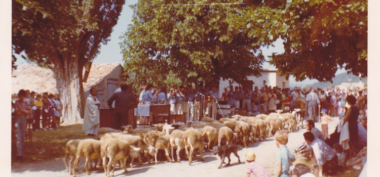 Réunion du Comité des fêtes du 3 juin 2017. Compte-rendu
