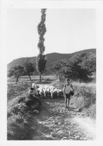 Jean-Claude le berger