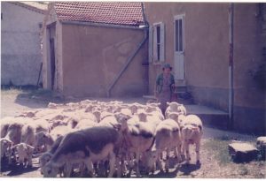 Josette la bergère 14.07.1986